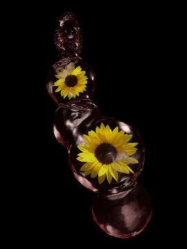 Sonnenblumen in Wasserkugeln auf schwarzem Hintergrund . 3d render