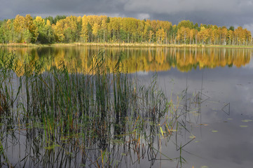 Autumn nature landscape with the lake in foreground and gold forest in the background - 208812739
