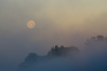 Zachód księżyca / maj, rzeka Pilica © Rafał Okraj