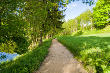 Droga pośród łąk i drzew w Szurpiłach pod Górą Zamkową