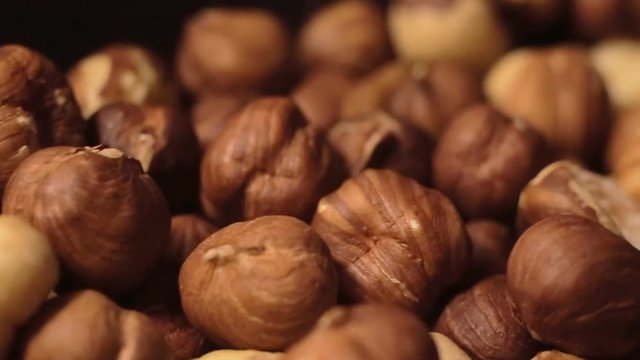 hazelnut close up slow motion.