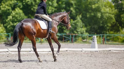 Handdoek met foto Paardrijden Young girl riding horse on equestrian competition. Equestrian dressage sport background with copy space  © skumer