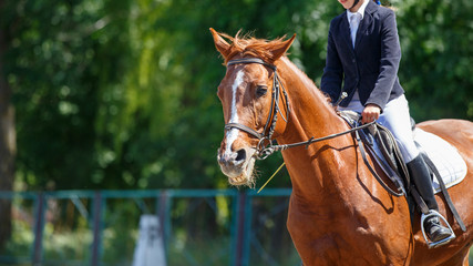 Obraz premium Young girl riding horse on equestrian competition. Equestrian dressage sport background with copy space