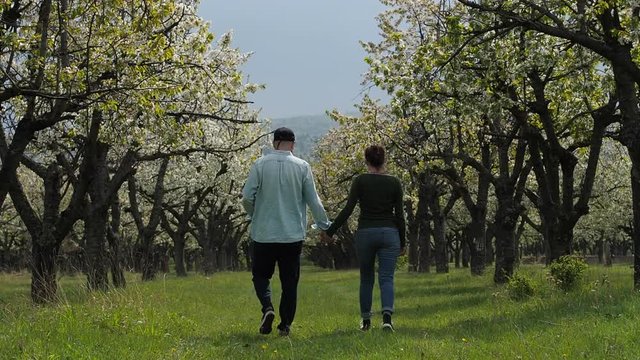 Young couple in love walking together through a beautiful blooming cherry tree forest