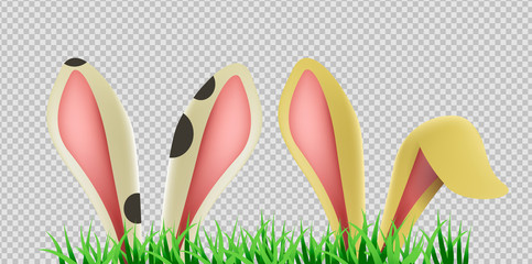 Bunny ears in grass on isolated background