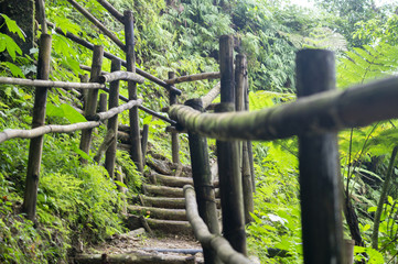 Escalera verde