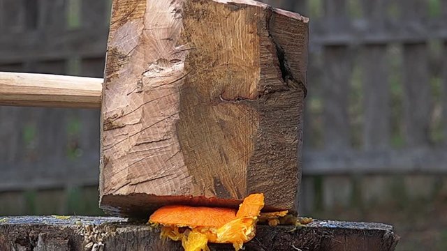 Food preparation crushed by a hammer giant, slow motion