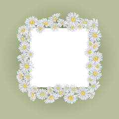 Daisy Frame on Green Background with Text Copy Space Isolated on White.  Chamomiles Framing the Square Card for Announcement, Advertising, Invitation,  Greeting Message etc.