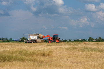 Fototapeta premium Tractor lifting hay bale on barrow.