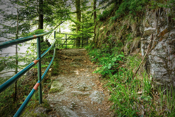 Scenic countryside landscape in the Black Forest: hiking through green forest with amazing views in spring near Allerheiligen, Germany