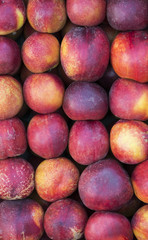 Organic Fresh nectarines in the market. Fruit background. (selective focus)