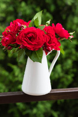 Fresh tender red garden roses in white jug on green background.