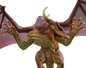 red dragon in a white background