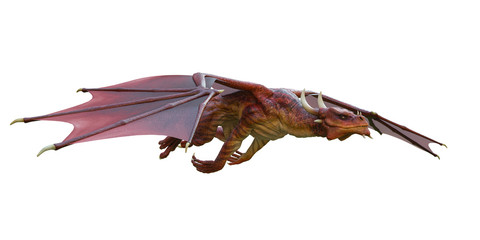 red dragon in a white background
