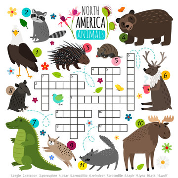 Animals crossword. Kids words brainteaser with north america animal set, word searching puzzle game