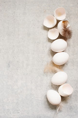 Grey textured background with white eggs and feathers