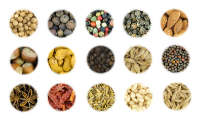 base set base spice hot chili additive pod and set of peppers, cashew nuts and hazelnut, cedar