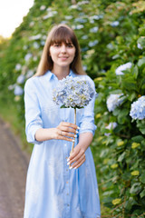 Hydrangea gardening. Portrait of young beautiful woman in long blue dress in magic blooming park in Sao Miguel, Azores. Portugal.