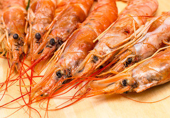 set langoustine head with black eyes and long mustache close-up on a wooden background