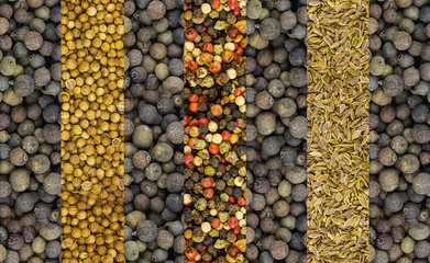 set strip pepper black peas coriander seeds and dill sauce base, menu design