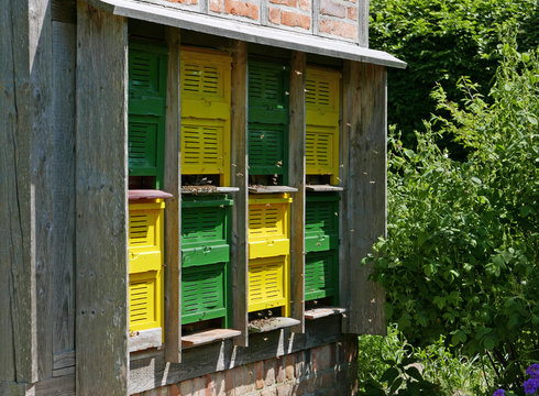 Bees swarming in and out green and yellow behive