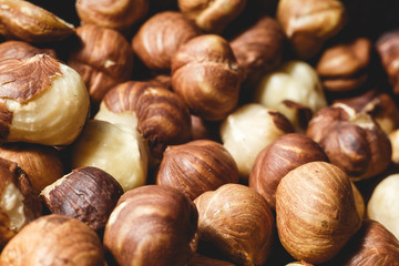 a lot of large large ripe hazelnuts