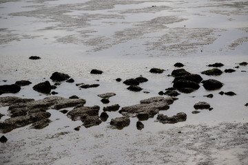 Mud flats when the tide is out