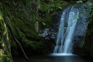 Edelfrauengrab Waterfall, Black Forest, Germany