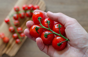 A woman's hand holding branch of cherry tomatoes  against blurred board with tomatoes