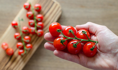 A bunch of cherry tomatoes in woman's hand against blurred board with tomatoes