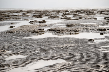 Mud flats when the tide is out