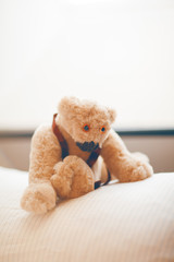little cute, adorable teddy bear sitting on a pillow, waiting for somebody to cuddle, looking a bit sad