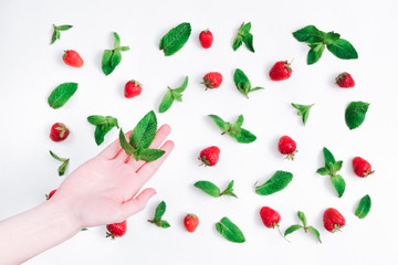 Strawberries and fresh mint on white background with female hand holding mint leaf