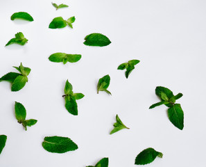 Fresh mint leaves pattern on white background