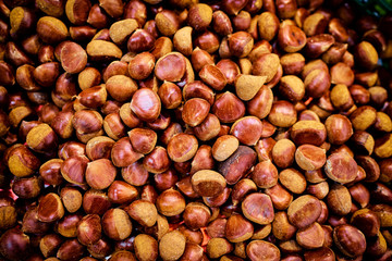 Chestnuts textured pattern background.