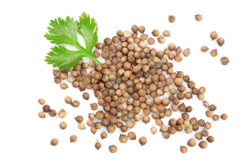 coriander seed and leaves isolated on white background. Top view. Flat lay pattern