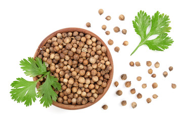 coriander seed and leaves in wooden bowl isolated on white background. Top view. Flat lay pattern