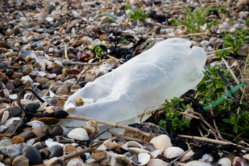 Litter left on the beach on the Isle of Grain