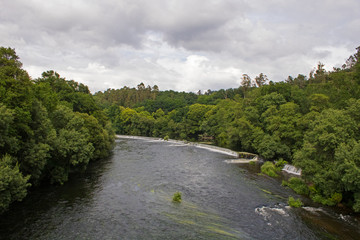 Fototapeta na wymiar rio visto desde arriba rodeado de arboles
