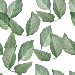 wiśnia zielone liście akwarela bezszwowe wzór - 208833725