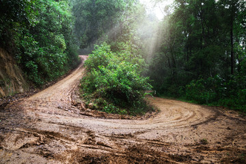 Dirt road or mud road and rain forest - Powered by Adobe