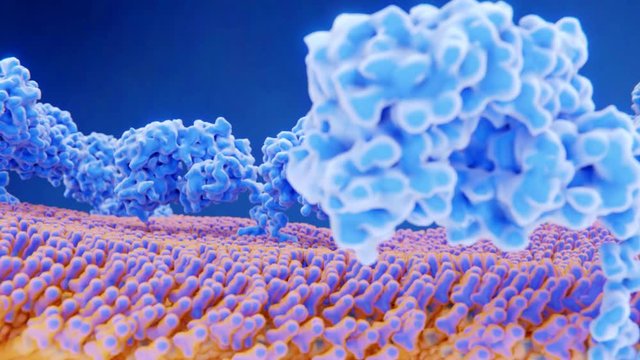 Chimerische Antigenrezeptoren auf einer Zellmembran. Sie k&ouml;nnen Antigene auf der Oberfl&auml;che von Krebszellen erkennen und eine Immunantwort ausl&ouml;sen.