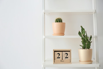 Beautiful cacti on shelving unit against light background