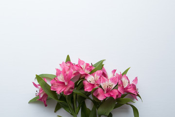 Pink Floral Desktop Mockup