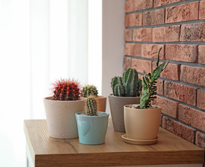 Beautiful cacti in flowerpots on table near brick wall