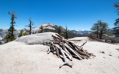 Pile of dead wood at the base of Sub Dome next to Half Dome in Yosemite National Park in California United States
