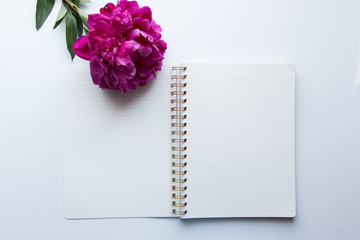 Peony Floral Desktop Mockup