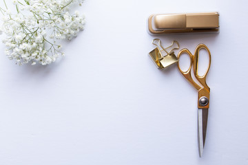 Baby's Breath Desktop Mockups