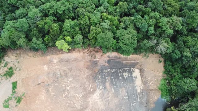 Deforestation. Borneo rainforest destroyed for oil palm industry