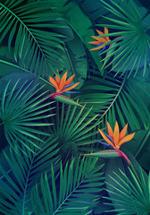 Obrazy  wzór tropikalnych liści